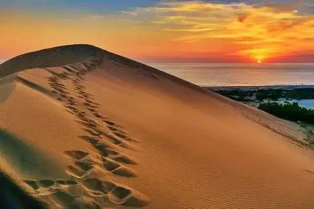 Patara Beach: Where Untouched Nature Meets Timeless Freedom